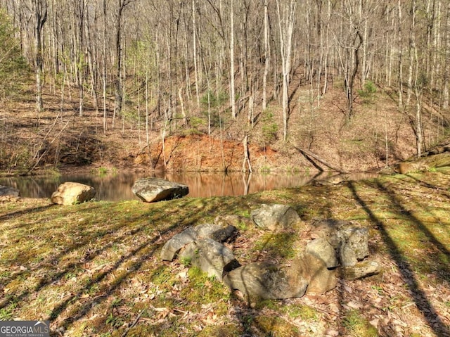 LOT4 Wilderness Way, Ellijay, GA 30536