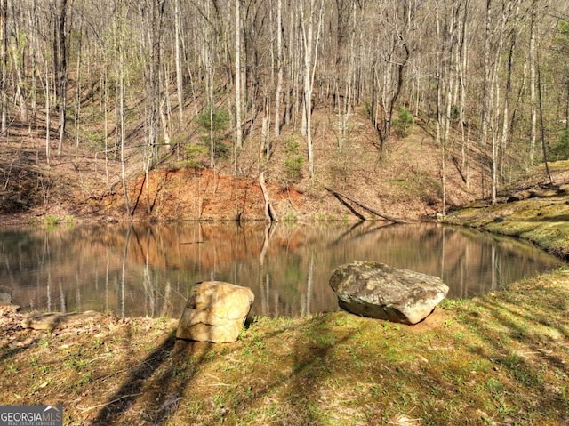 LOT4 Wilderness Way, Ellijay, GA 30536
