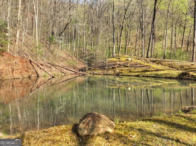 LOT4 Wilderness Way, Ellijay, GA 30536