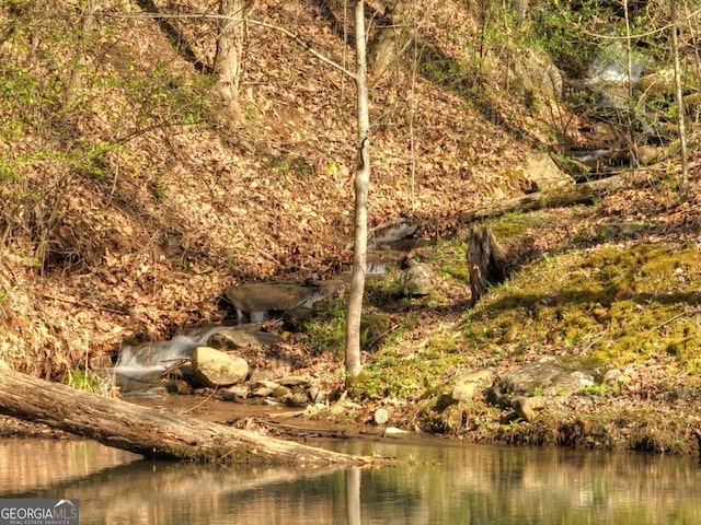 LOT4 Wilderness Way, Ellijay, GA 30536