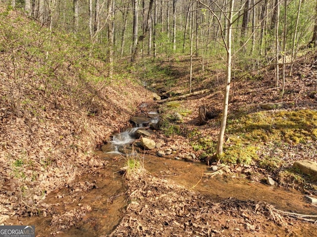 LOT4 Wilderness Way, Ellijay, GA 30536