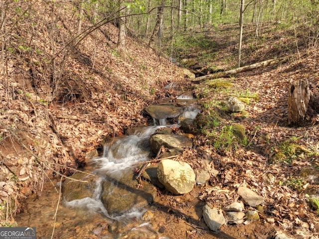 LOT4 Wilderness Way, Ellijay, GA 30536