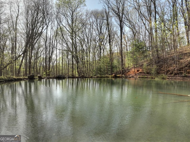LOT4 Wilderness Way, Ellijay, GA 30536
