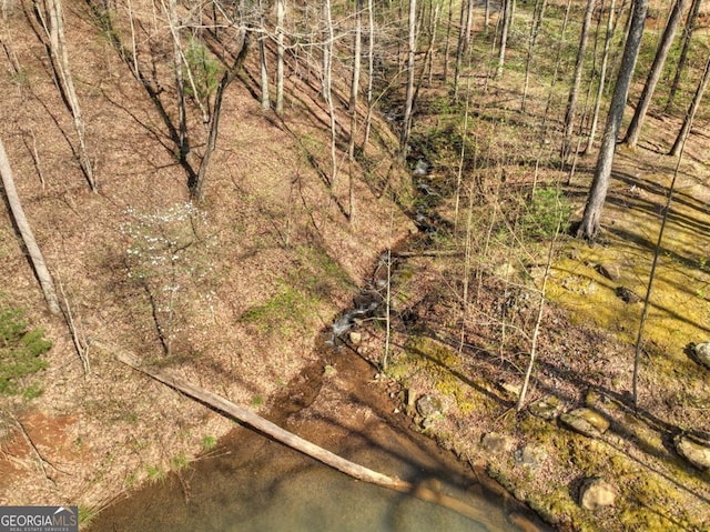 LOT4 Wilderness Way, Ellijay, GA 30536