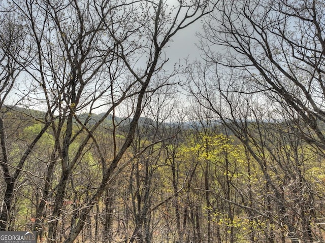 LOT4 Wilderness Way, Ellijay, GA 30536