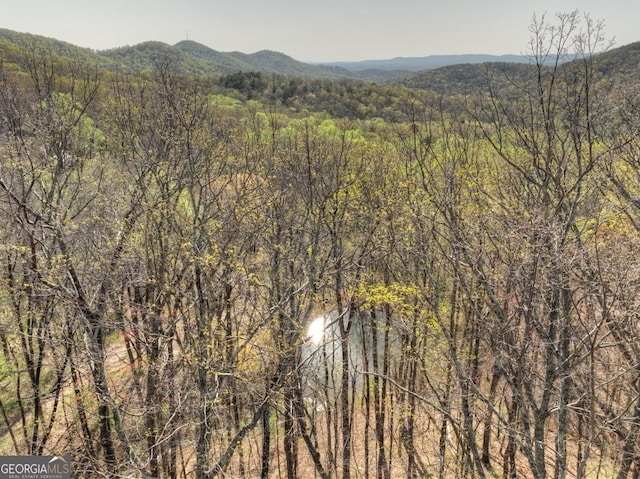 LOT4 Wilderness Way, Ellijay, GA 30536