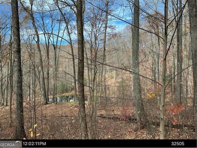 LOT4 Wilderness Way, Ellijay, GA 30536