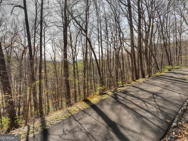 LOT4 Wilderness Way, Ellijay, GA 30536