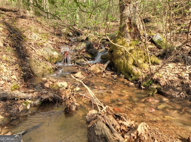 LOT4 Wilderness Way, Ellijay, GA 30536