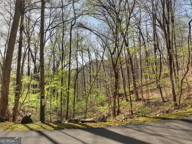 LOT4 Wilderness Way, Ellijay, GA 30536