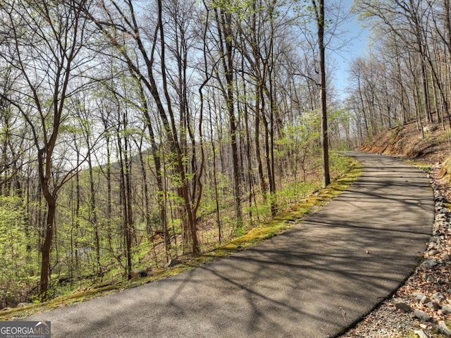 LOT4 Wilderness Way, Ellijay, GA 30536