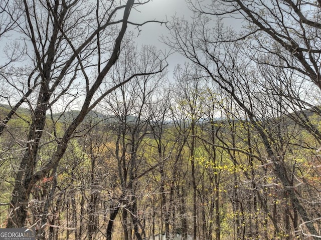 LOT4 Wilderness Way, Ellijay, GA 30536