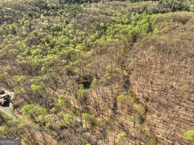 LOT4 Wilderness Way, Ellijay, GA 30536
