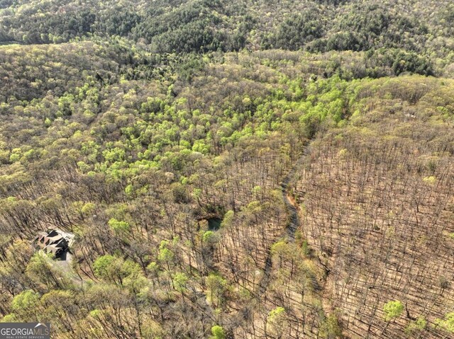 LOT4 Wilderness Way, Ellijay, GA 30536