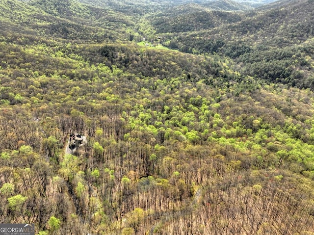 LOT4 Wilderness Way, Ellijay, GA 30536