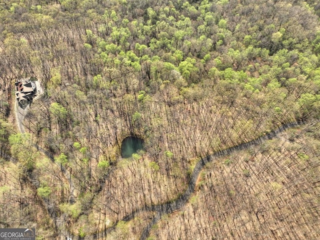 LOT4 Wilderness Way, Ellijay, GA 30536