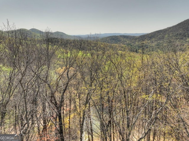 LOT4 Wilderness Way, Ellijay, GA 30536