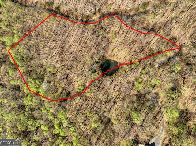 LOT4 Wilderness Way, Ellijay, GA 30536