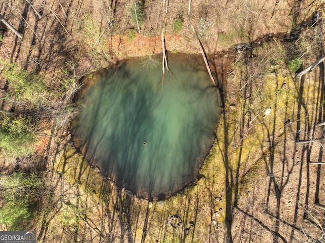 LOT4 Wilderness Way, Ellijay, GA 30536