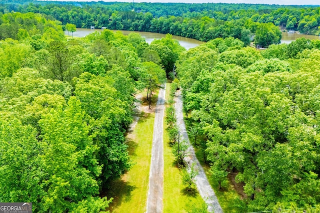 aerial view of a large body of water and a forest