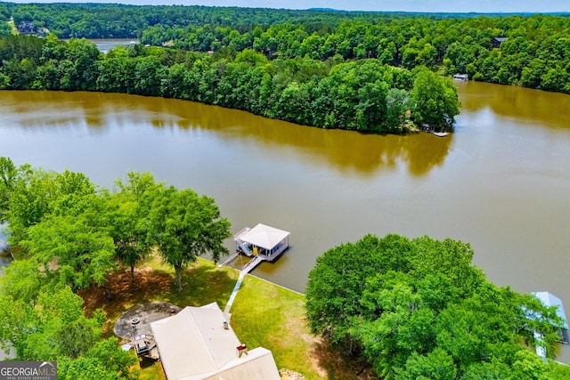 bird's eye view of a forest and a nearby body of water