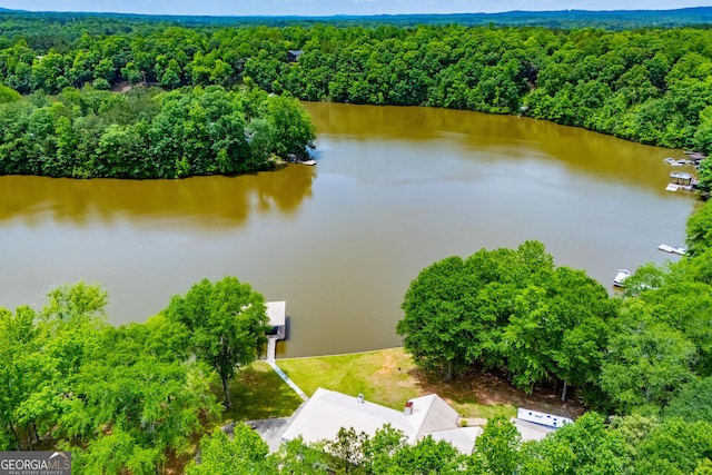 bird's eye view of a forest and a nearby body of water
