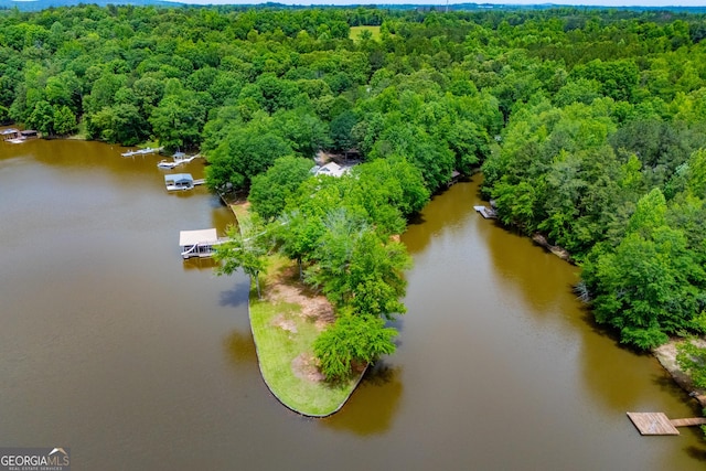 drone / aerial view of a heavily wooded area and a nearby body of water