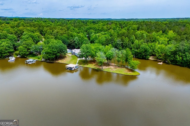 bird's eye view of a forest and a nearby body of water