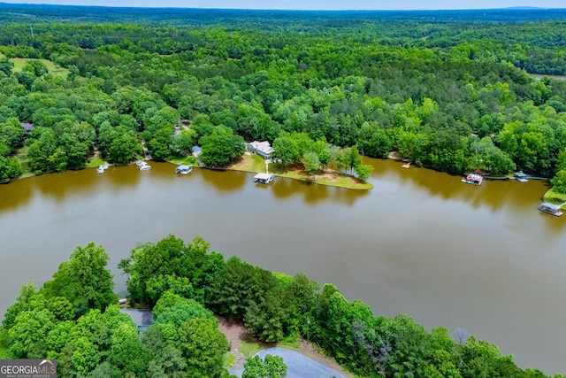 drone / aerial view of a heavily wooded area and a nearby body of water