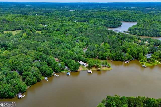 aerial view of a forest and a nearby body of water