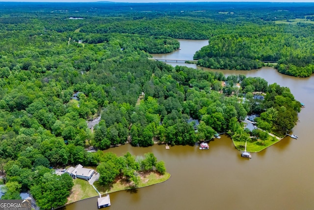 drone / aerial view of a forest and a large body of water