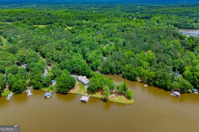 bird's eye view of a forest and a large body of water