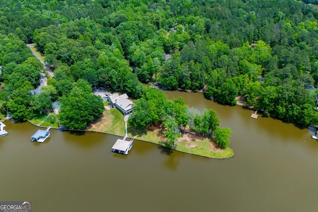 aerial view of a large body of water and a forest