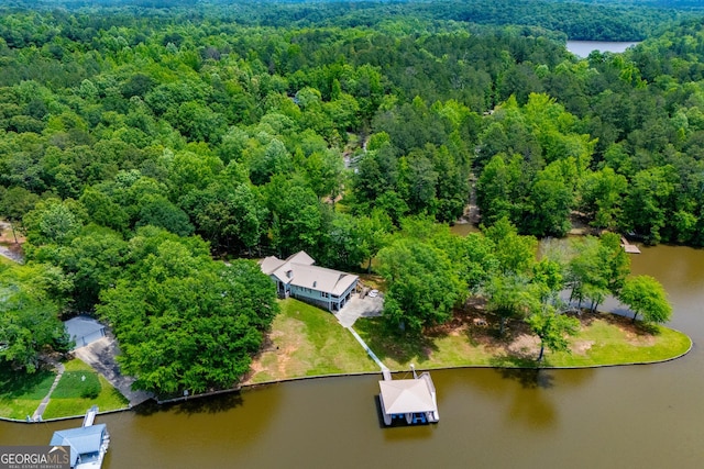 bird's eye view of a forest and a large body of water
