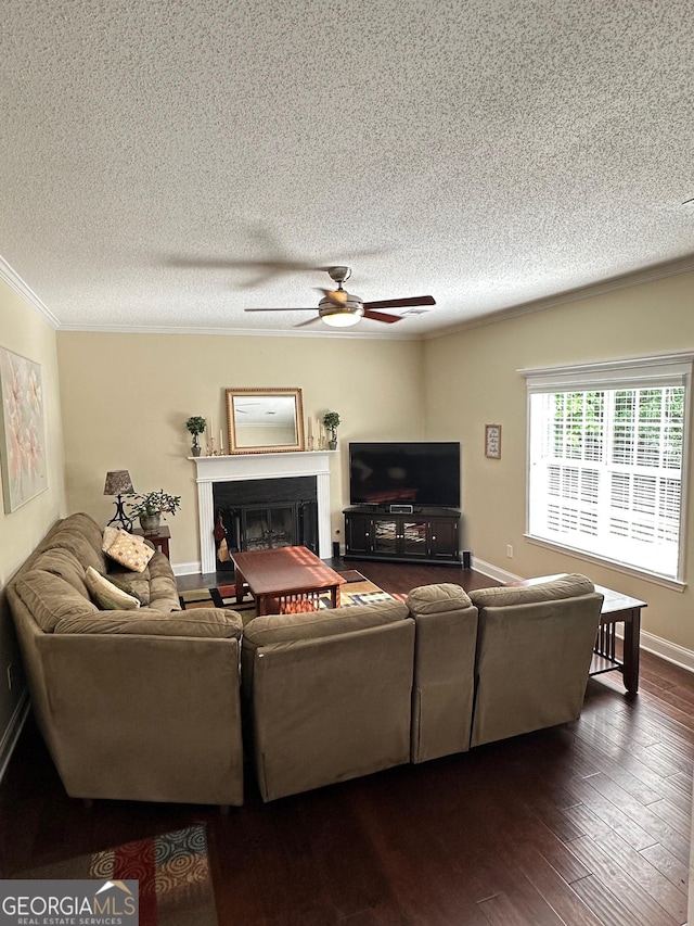 6940 Treeline Dr, Cumming, GA 30028 - living room featuring a textured ceiling, crown molding, a ceiling fan, a fireplace, and dark wood-style floors
