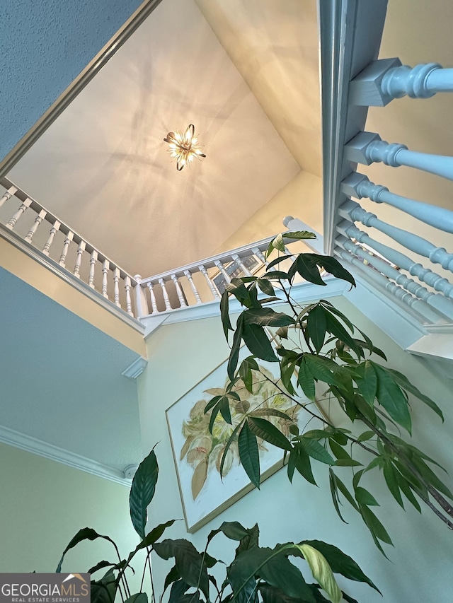 6940 Treeline Dr, Cumming, GA 30028 - detailed view of ornamental molding
