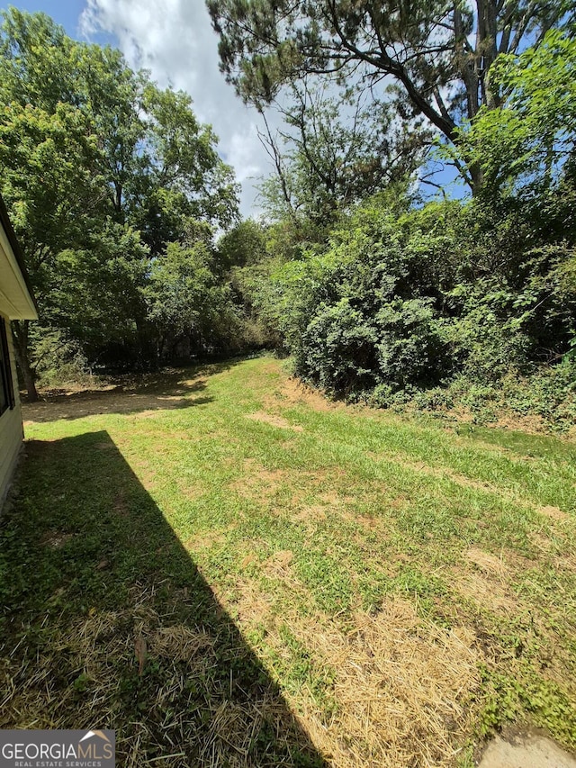 view of green lawn