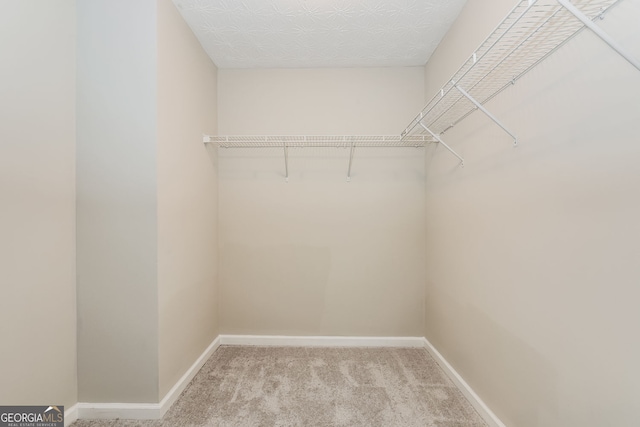 11576 Kades Trl, Hampton, GA 30228 - spacious closet featuring carpet floors