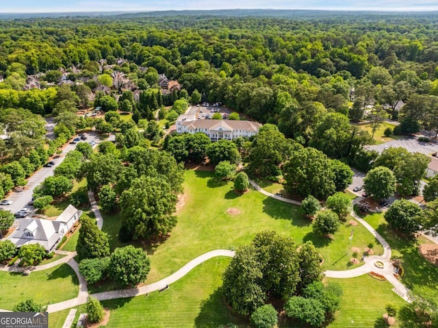 aerial view of a forest