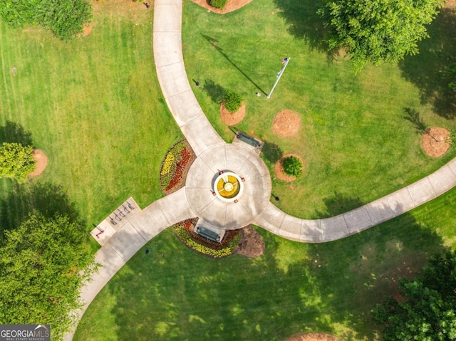 bird's eye view