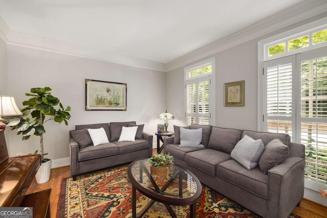 living room featuring crown molding, wood finished floors, and baseboards