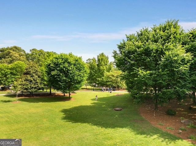view of community with a lawn