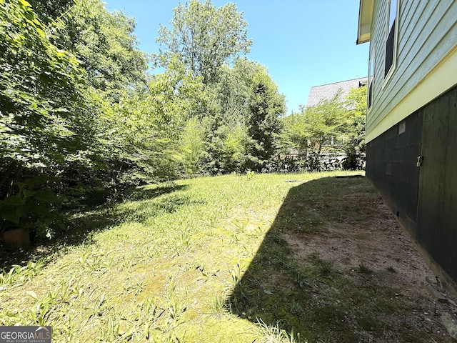 214 Evans St, Athens, GA 30606 - view of yard