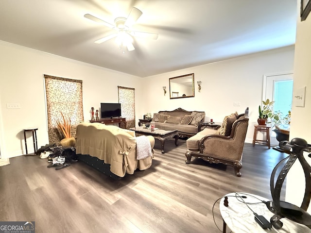214 Evans St, Athens, GA 30606 - living room with wood finished floors, ceiling fan, and ornamental molding