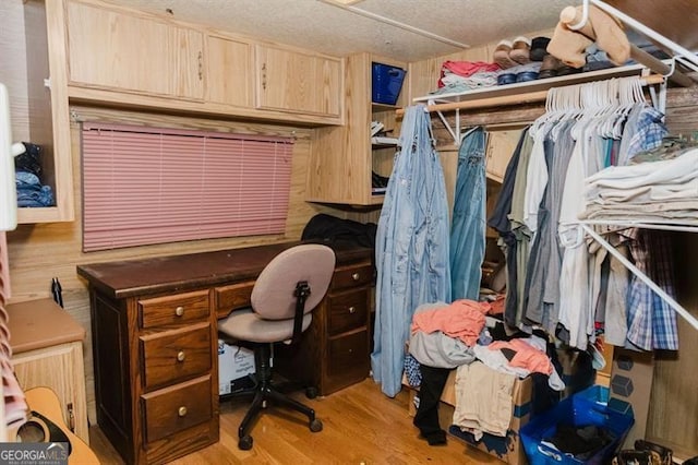 50 Canyon Pass, Cleveland, GA 30528 - spacious closet with light wood finished floors
