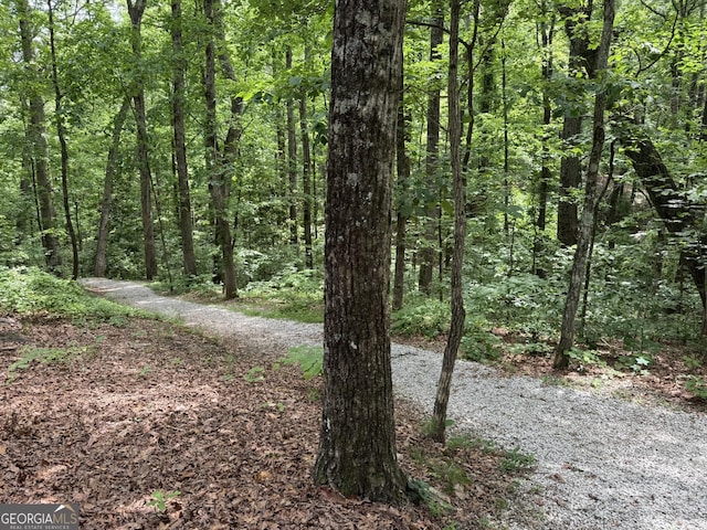 5401 Rosser Rd, Tucker, GA 30087 - view of tree filled area