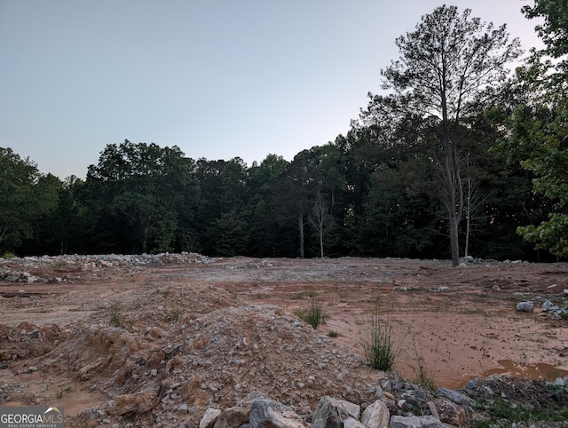 5700 Miles Rd, South Fulton, GA 30349 - view of tree filled area