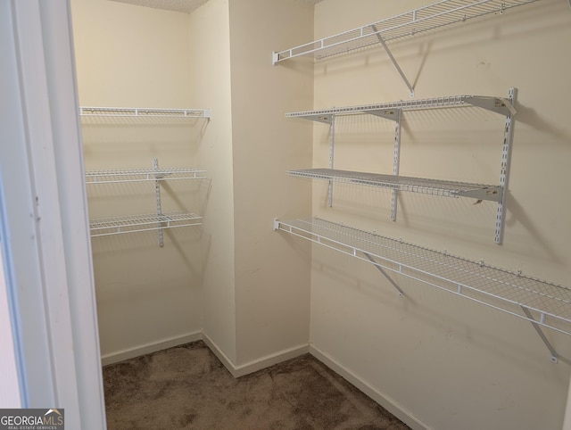 5700 Miles Rd, South Fulton, GA 30349 - walk in closet featuring carpet flooring