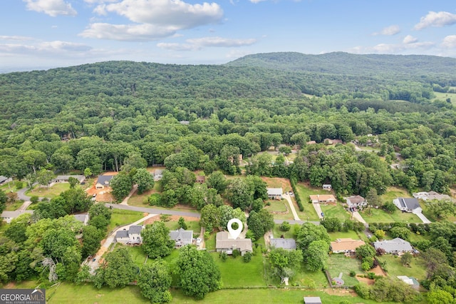2055 Cactus Ln, Cumming, GA 30040 - bird's eye view of a forest and a mountain backdrop
