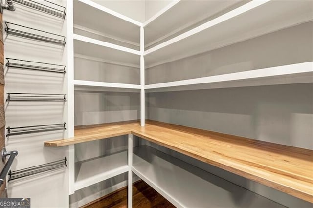 1286 Whisper Cove Dr, Buford, GA 30518 - storage area featuring a relaxing sauna
